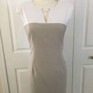 Calvin Klein Dress